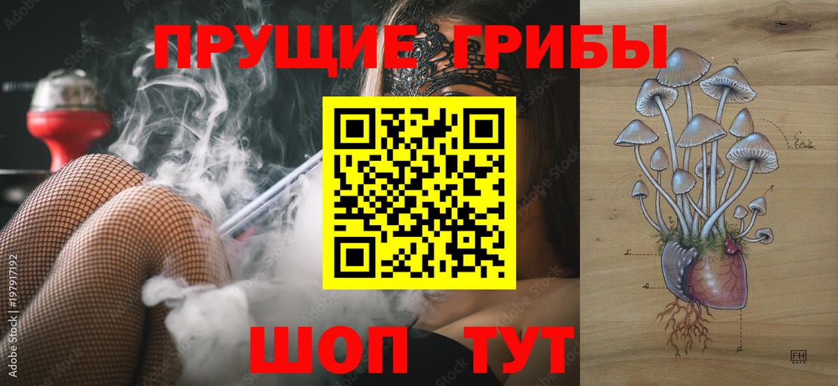 Псилоцибиновые грибы мицелий Шали